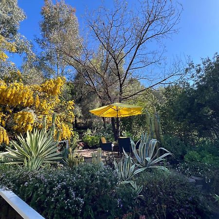Villa La Reforma - Newly Designed 4Br House & Pool In Los Angeles By Topanga Esterno foto
