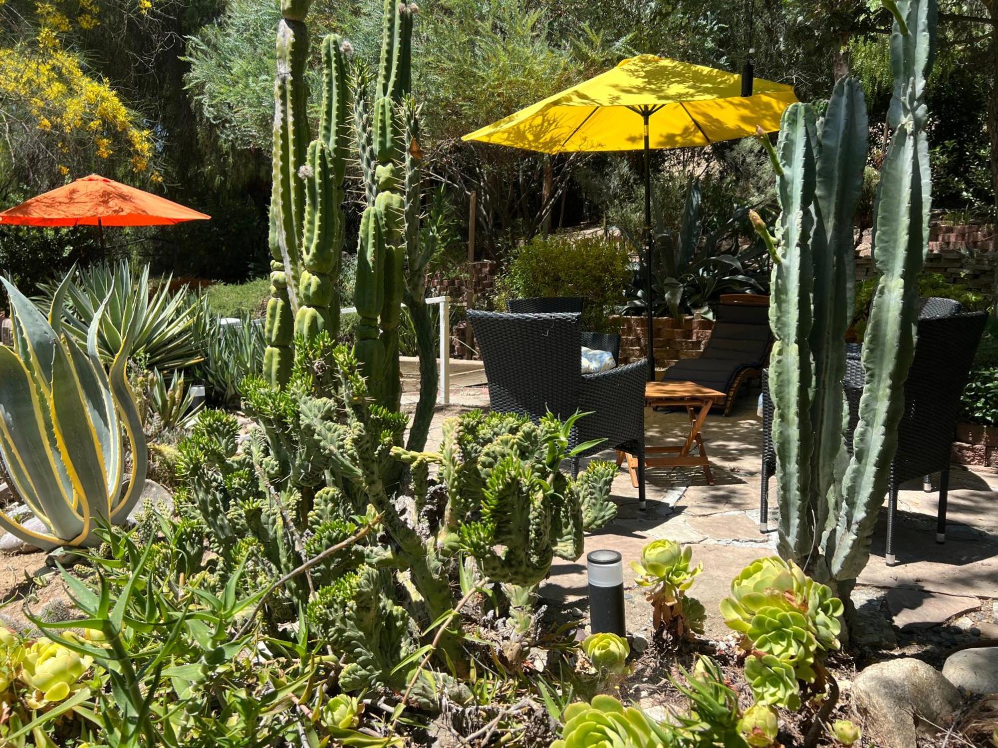 Villa La Reforma - Newly Designed 4Br House & Pool In Los Angeles By Topanga Esterno foto
