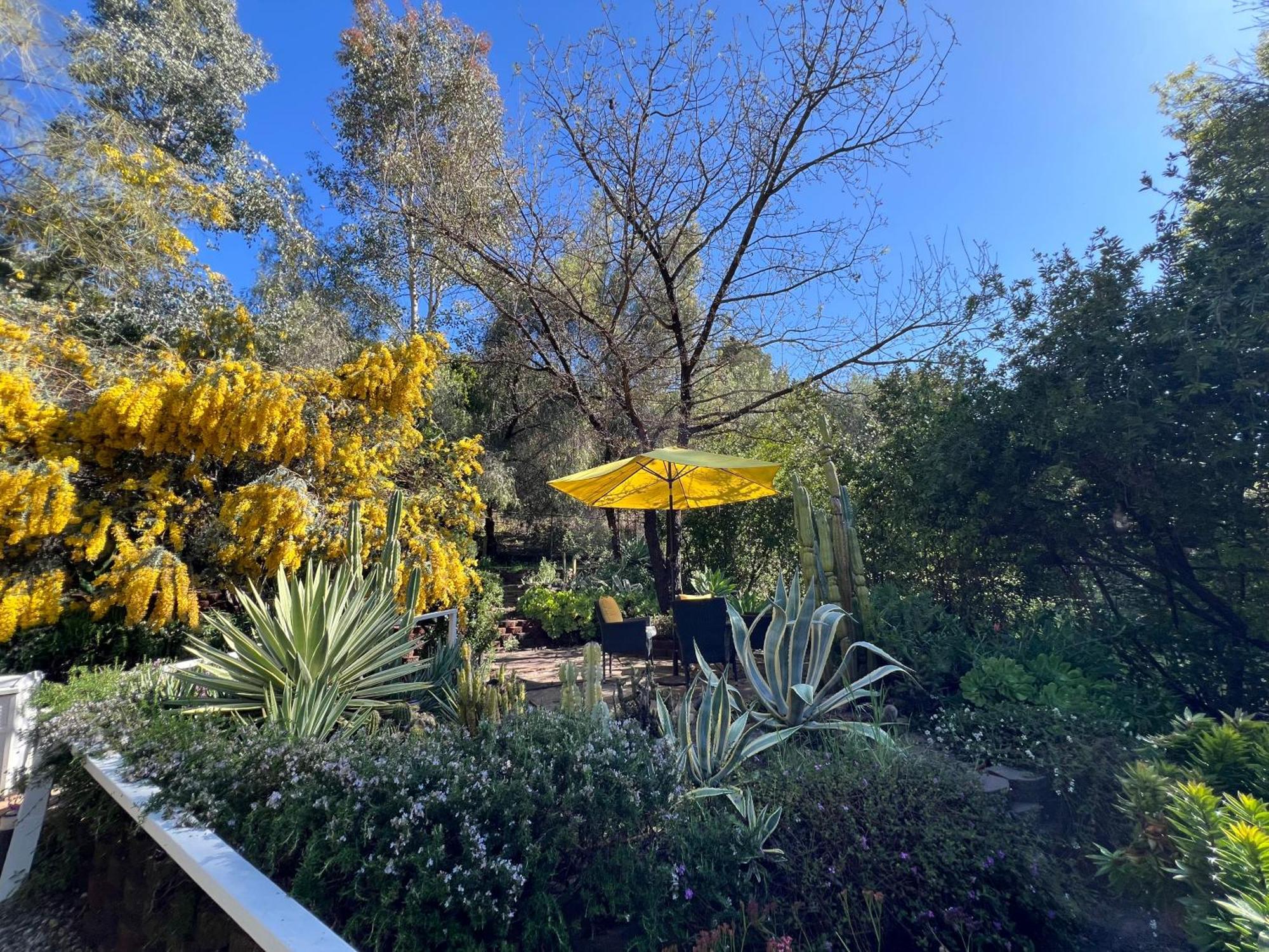 Villa La Reforma - Newly Designed 4Br House & Pool In Los Angeles By Topanga Esterno foto